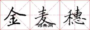 侯登峰金麥穗楷書怎么寫