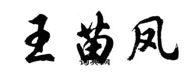 胡問遂王苗鳳行書個性簽名怎么寫