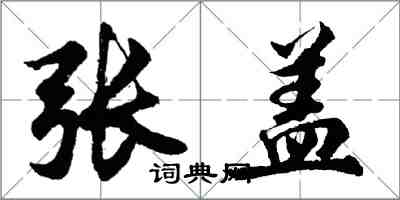 胡問遂張蓋行書怎么寫