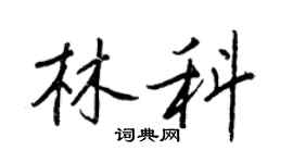 王正良林科行書個性簽名怎么寫