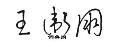 駱恆光王衛朋草書個性簽名怎么寫