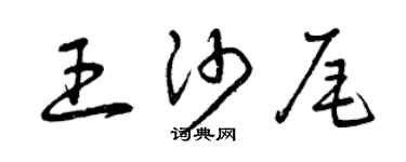 曾慶福王沙尾草書個性簽名怎么寫