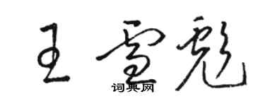 駱恆光王雪彪草書個性簽名怎么寫