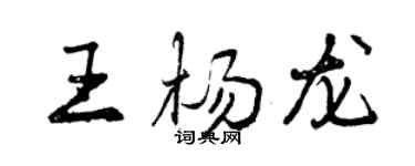 曾慶福王楊龍行書個性簽名怎么寫