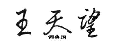 駱恆光王天望行書個性簽名怎么寫