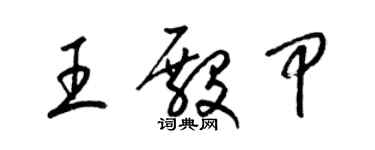 梁錦英王殿甲草書個性簽名怎么寫