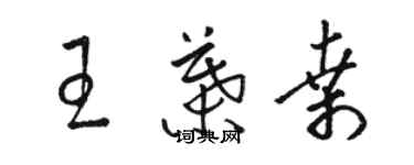 駱恆光王葉桑草書個性簽名怎么寫