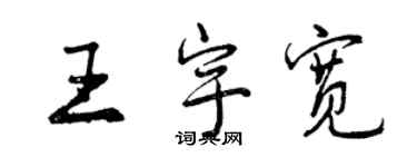 曾慶福王宇寬行書個性簽名怎么寫