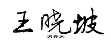 曾慶福王曉坡行書個性簽名怎么寫