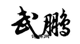 胡問遂武鵬行書個性簽名怎么寫