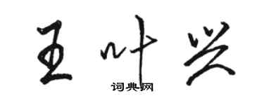 駱恆光王葉興行書個性簽名怎么寫