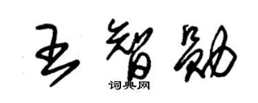 朱錫榮王智勛草書個性簽名怎么寫