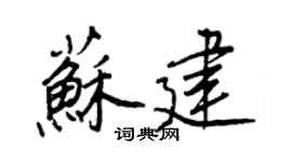 王正良蘇建行書個性簽名怎么寫