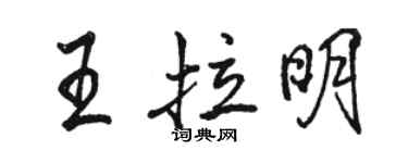 駱恆光王拉明行書個性簽名怎么寫