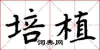 周炳元培植楷書怎么寫