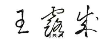 駱恆光王露成草書個性簽名怎么寫