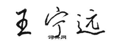 駱恆光王寧遠行書個性簽名怎么寫