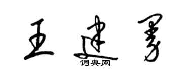 梁錦英王建曼草書個性簽名怎么寫