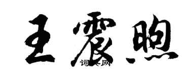 胡問遂王震煦行書個性簽名怎么寫