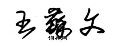 朱錫榮王蘇文草書個性簽名怎么寫