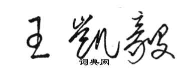 駱恆光王凱毅草書個性簽名怎么寫