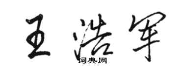 駱恆光王浩軍行書個性簽名怎么寫