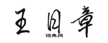 駱恆光王日章行書個性簽名怎么寫