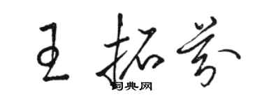駱恆光王拓芬草書個性簽名怎么寫