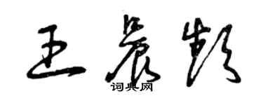 曾慶福王晨頻草書個性簽名怎么寫