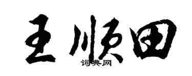 胡問遂王順田行書個性簽名怎么寫