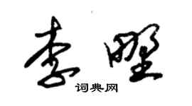 朱錫榮李野草書個性簽名怎么寫