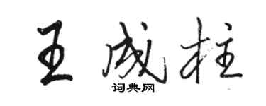 駱恆光王成柱行書個性簽名怎么寫