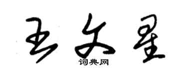 朱錫榮王文星草書個性簽名怎么寫