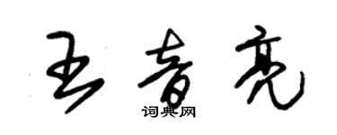 朱錫榮王音亮草書個性簽名怎么寫