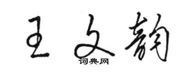 駱恆光王文韻草書個性簽名怎么寫