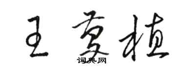 駱恆光王慶植草書個性簽名怎么寫