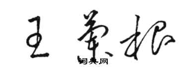 駱恆光王蘭根草書個性簽名怎么寫