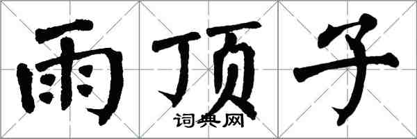 翁闓運雨頂子楷書怎么寫