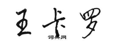 駱恆光王卡羅行書個性簽名怎么寫