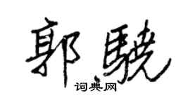 王正良郭驍行書個性簽名怎么寫