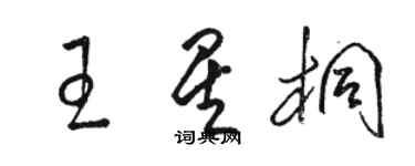 駱恆光王星桐草書個性簽名怎么寫