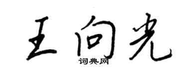 王正良王向光行書個性簽名怎么寫
