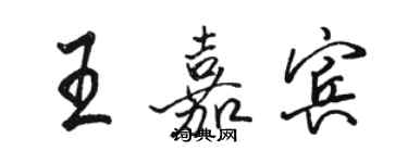 駱恆光王嘉賓行書個性簽名怎么寫