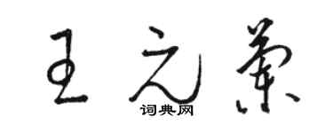 駱恆光王元蘭草書個性簽名怎么寫