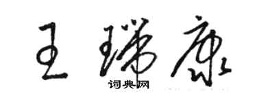 駱恆光王瑞康草書個性簽名怎么寫