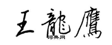 王正良王龍鷹行書個性簽名怎么寫