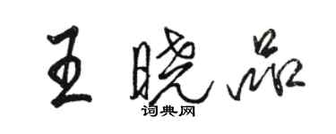 駱恆光王曉品行書個性簽名怎么寫