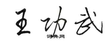 駱恆光王功武行書個性簽名怎么寫