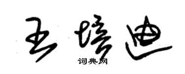 朱錫榮王培迪草書個性簽名怎么寫