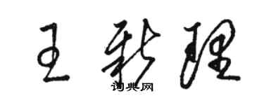 駱恆光王新理草書個性簽名怎么寫